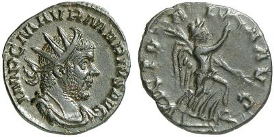 684905.jpg