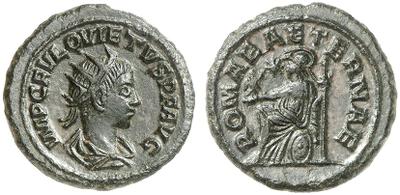 1717239.m.jpg