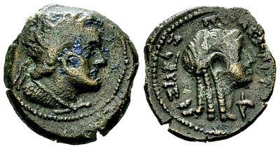 AE14 de Ptolomeo II - VIII., Cirene 4831069.m