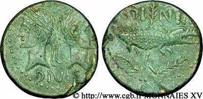 Dupondio de Augusto y Agrippa. COL NEM. Cocodrilo encadenado a una palmera. Nîmes 108989.m