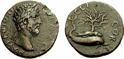 AE24 de Septimio Severo. Corinto 234672.m
