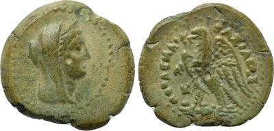 AE17 de Ptolomeo II. 3665805.m